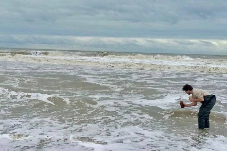 бактерии в море