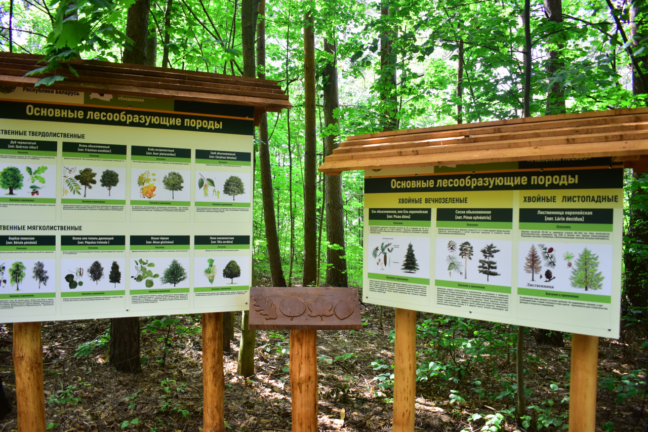 Заславль благоустройство