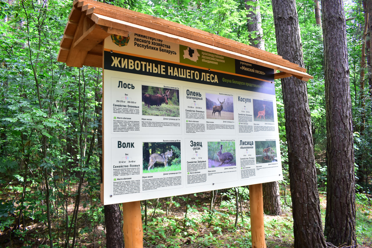 Заславль благоустройство