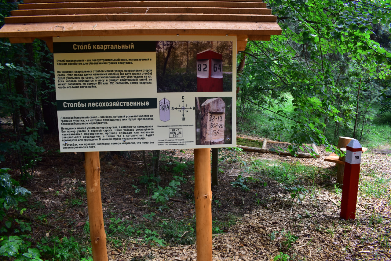 Заславль благоустройство