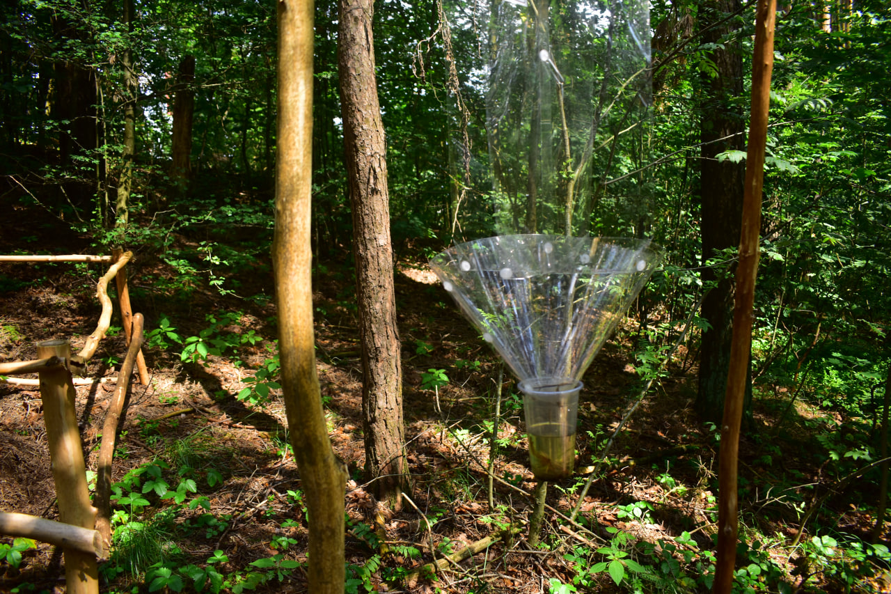 Заславль благоустройство