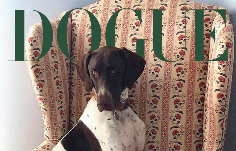 Обложка Dogue