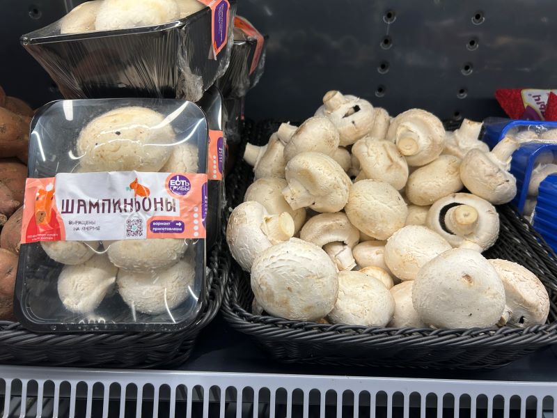 шампиньоны в магазине 