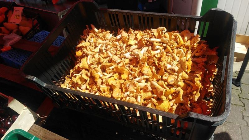 грибы на рынке 