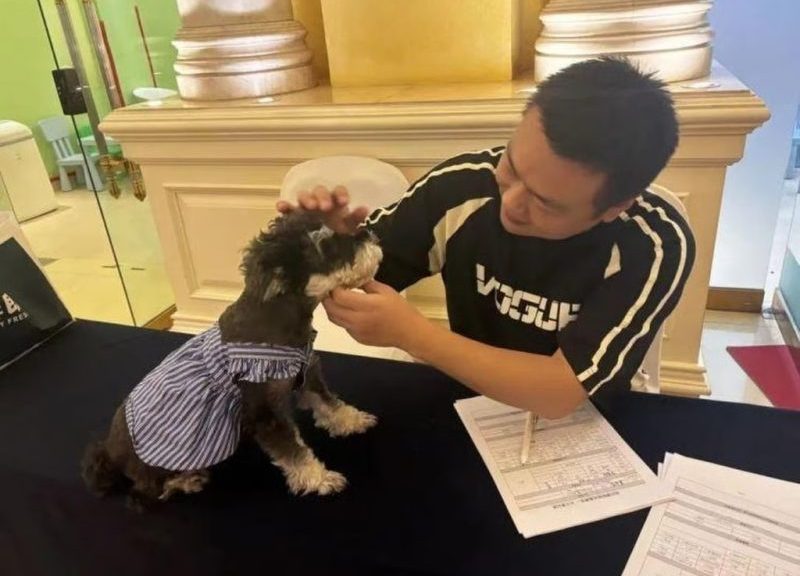 Аренда собак в отеле