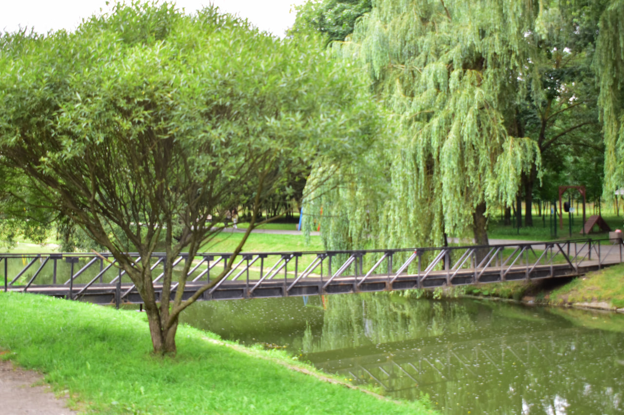 Антоновский парк