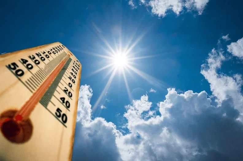 Какой будет погода в Беларуси осенью 2025 — что говорят синоптики после «аномально жаркого лета»?