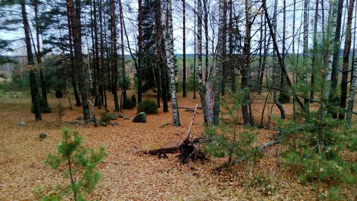 заповденик