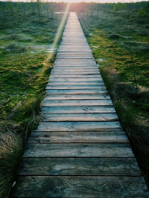 Березинский заповедник