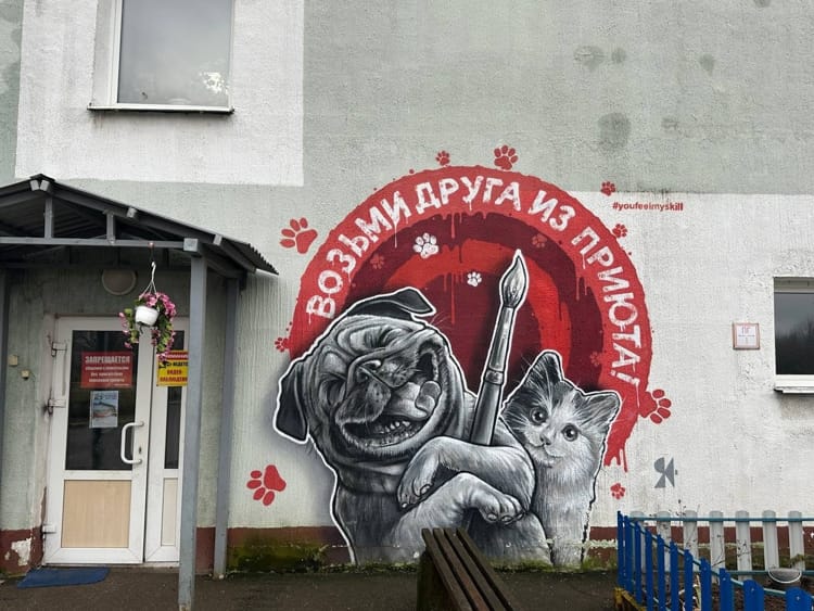 выходные 16 и 17 августа в Витебске