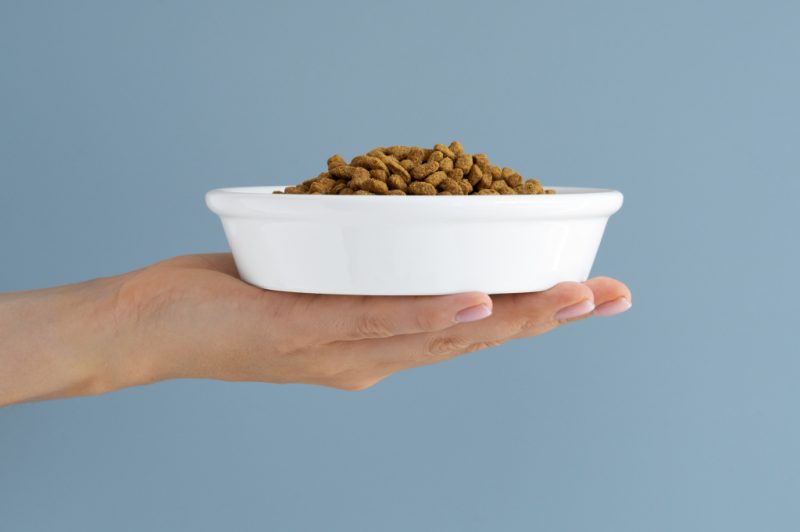 Корм в миске