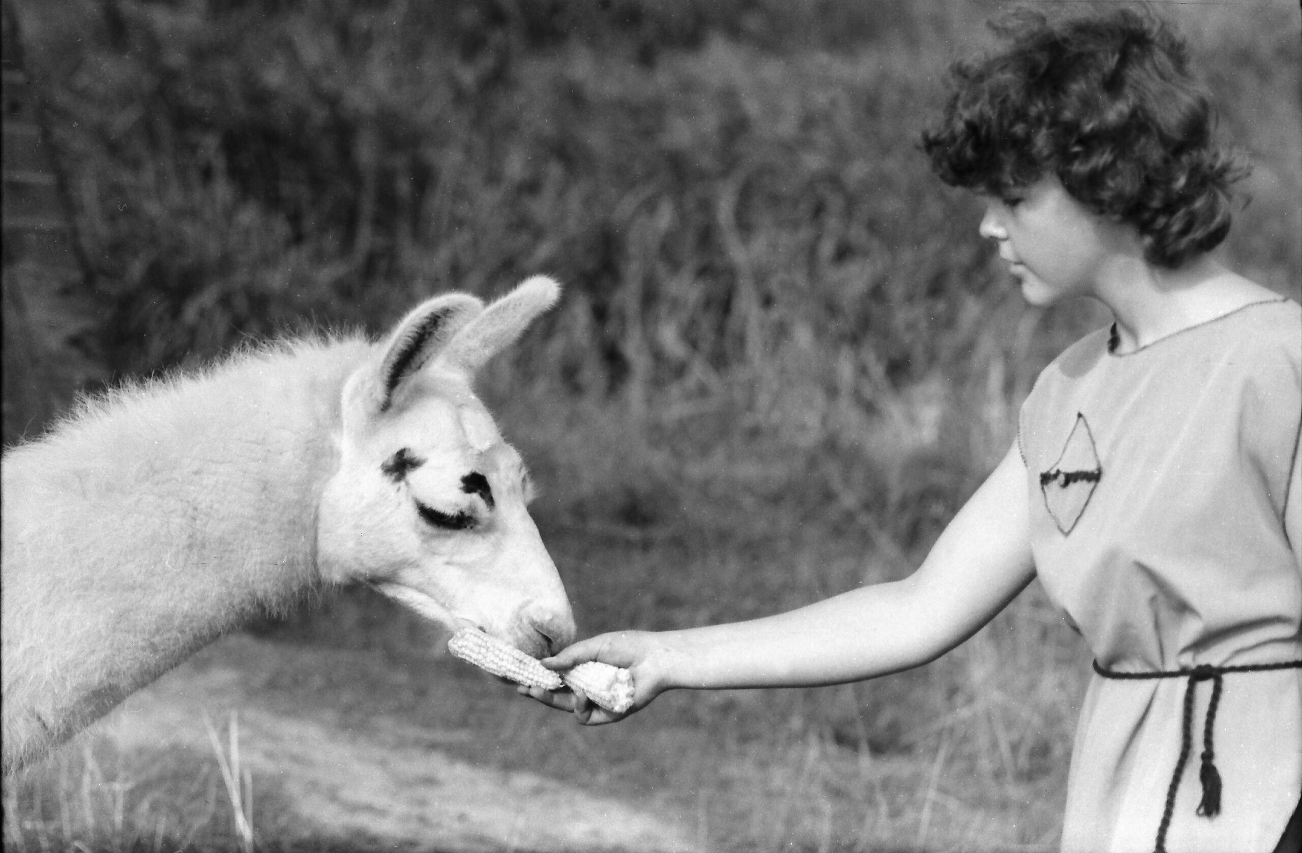 ТОП-5 зоопарков Беларуси: куда отправиться с детьми за яркими впечатлениями