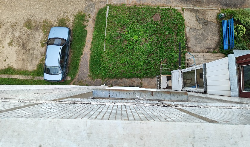 Пьяная жительница Постав выбросила кота с пятого этажа – возбуждено уголовное дело