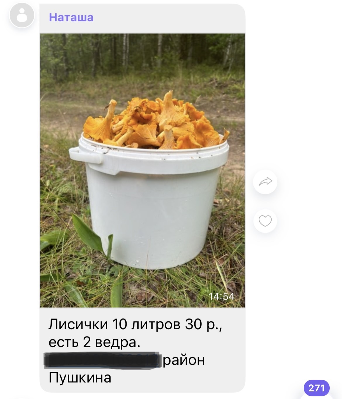 продажа грибов 