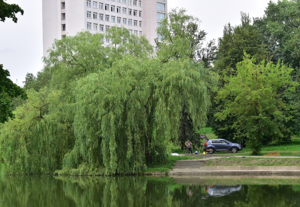 сквер Омара Хайяма