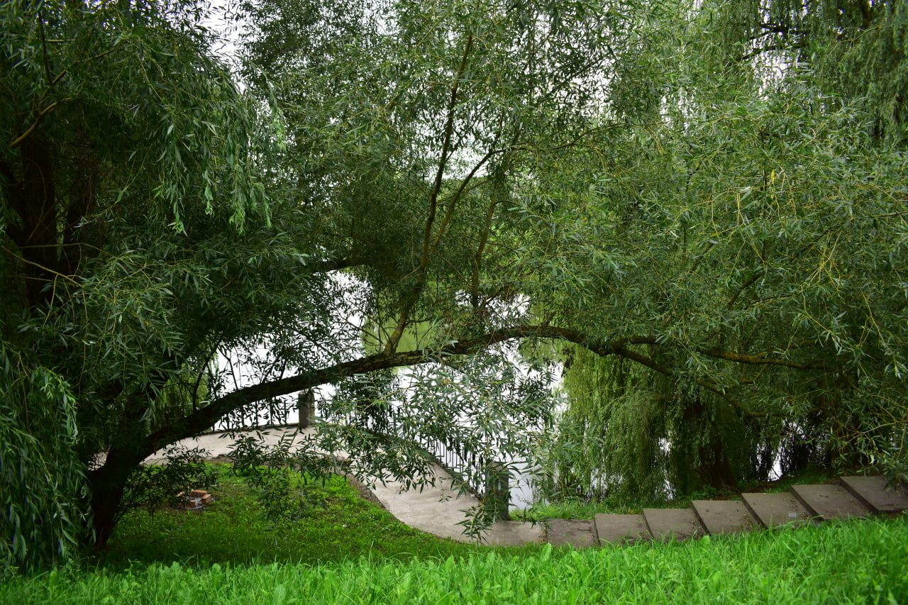 сквер Омара Хайяма