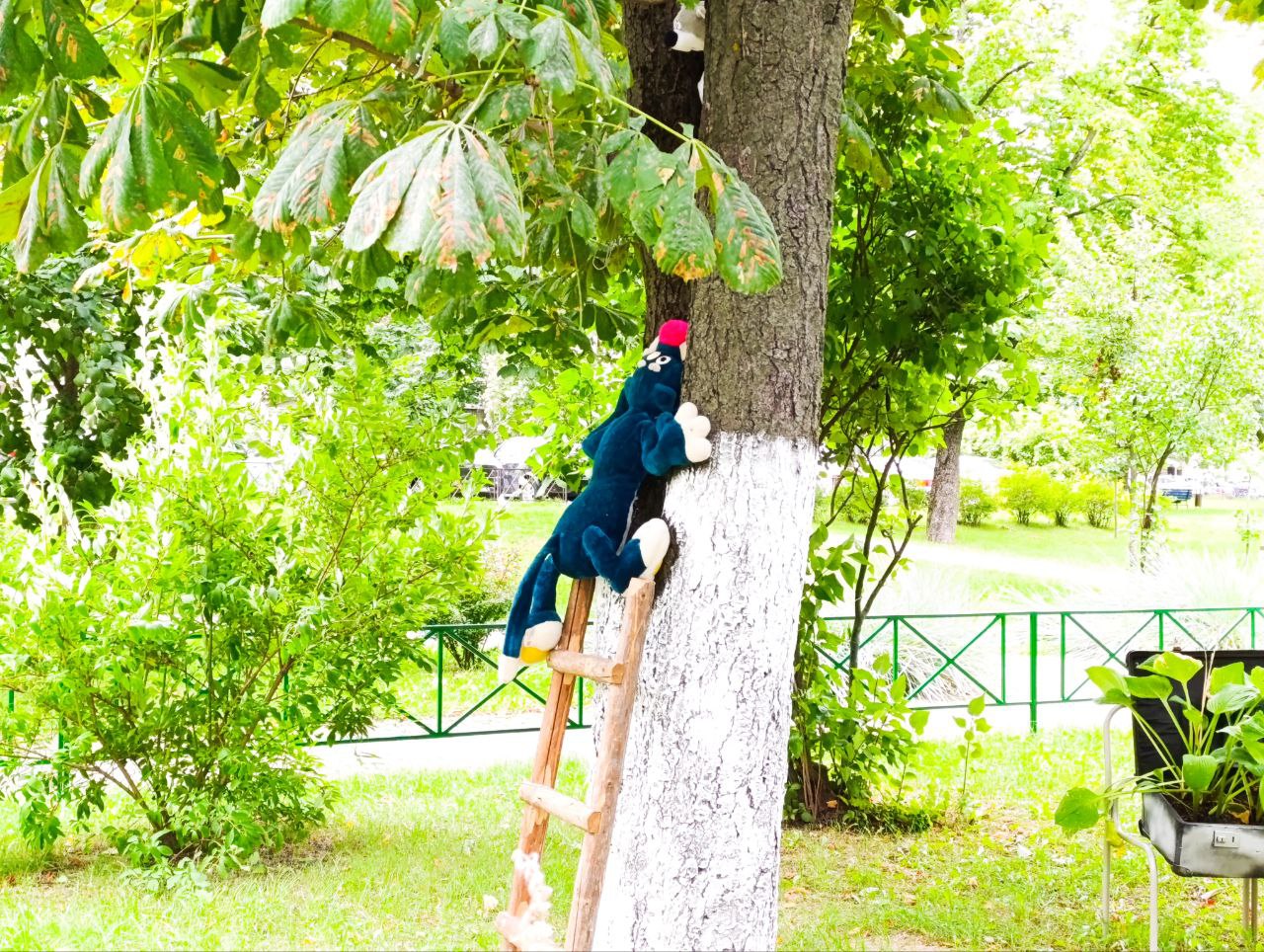 зона отдыха