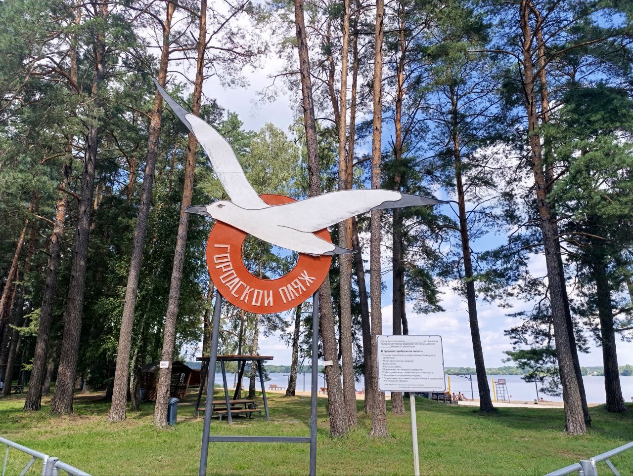 Осиповичское водохранилище пляж