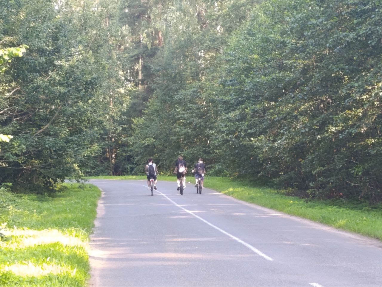 дорога велосипедист