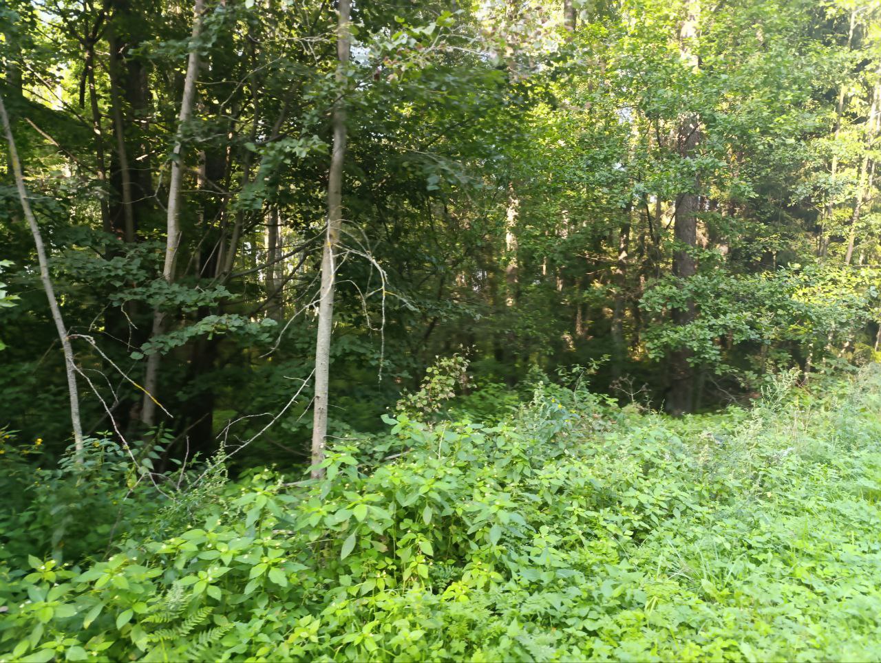 Осиповичское водохранилище