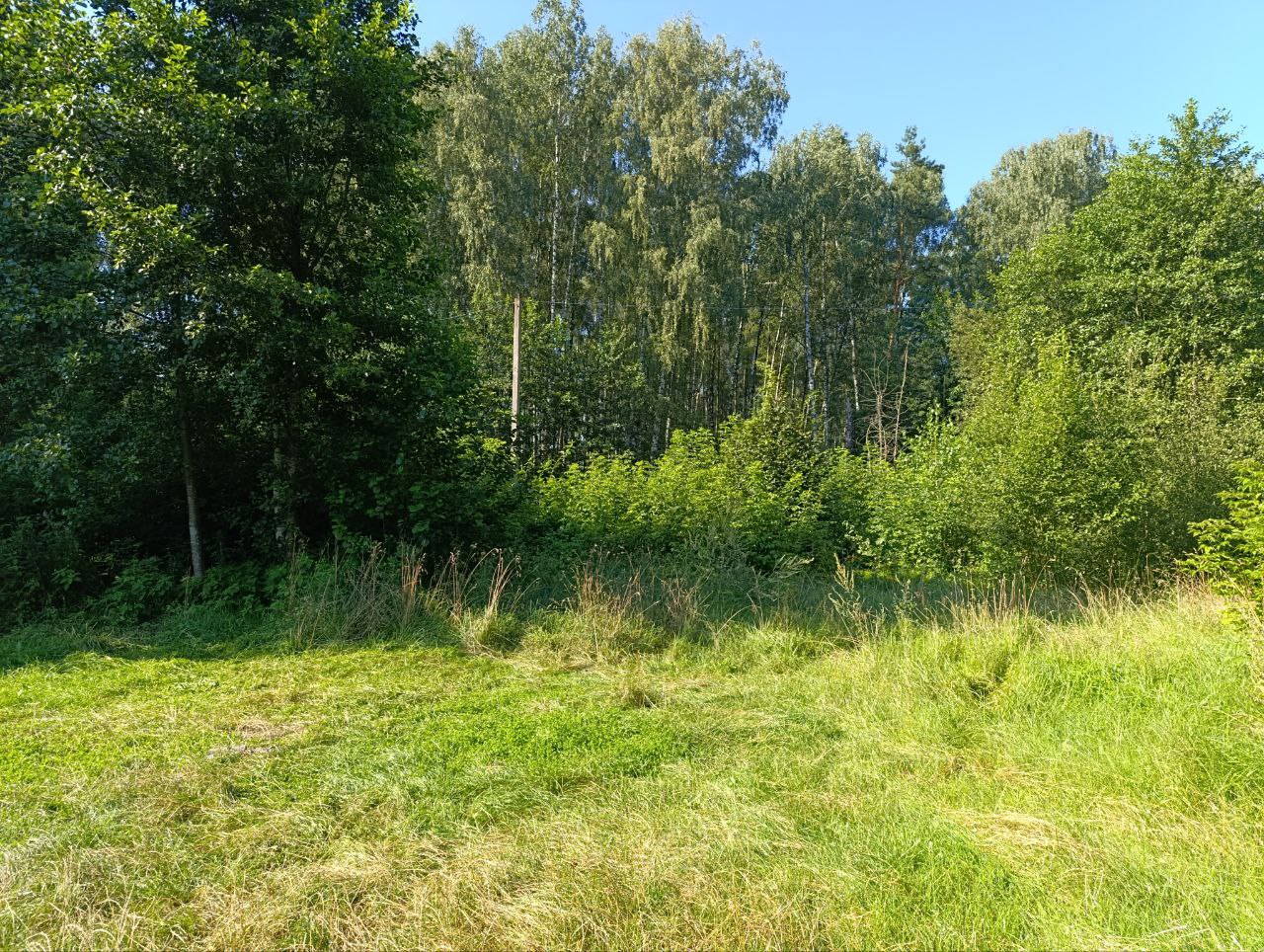 Осиповичское водохранилище