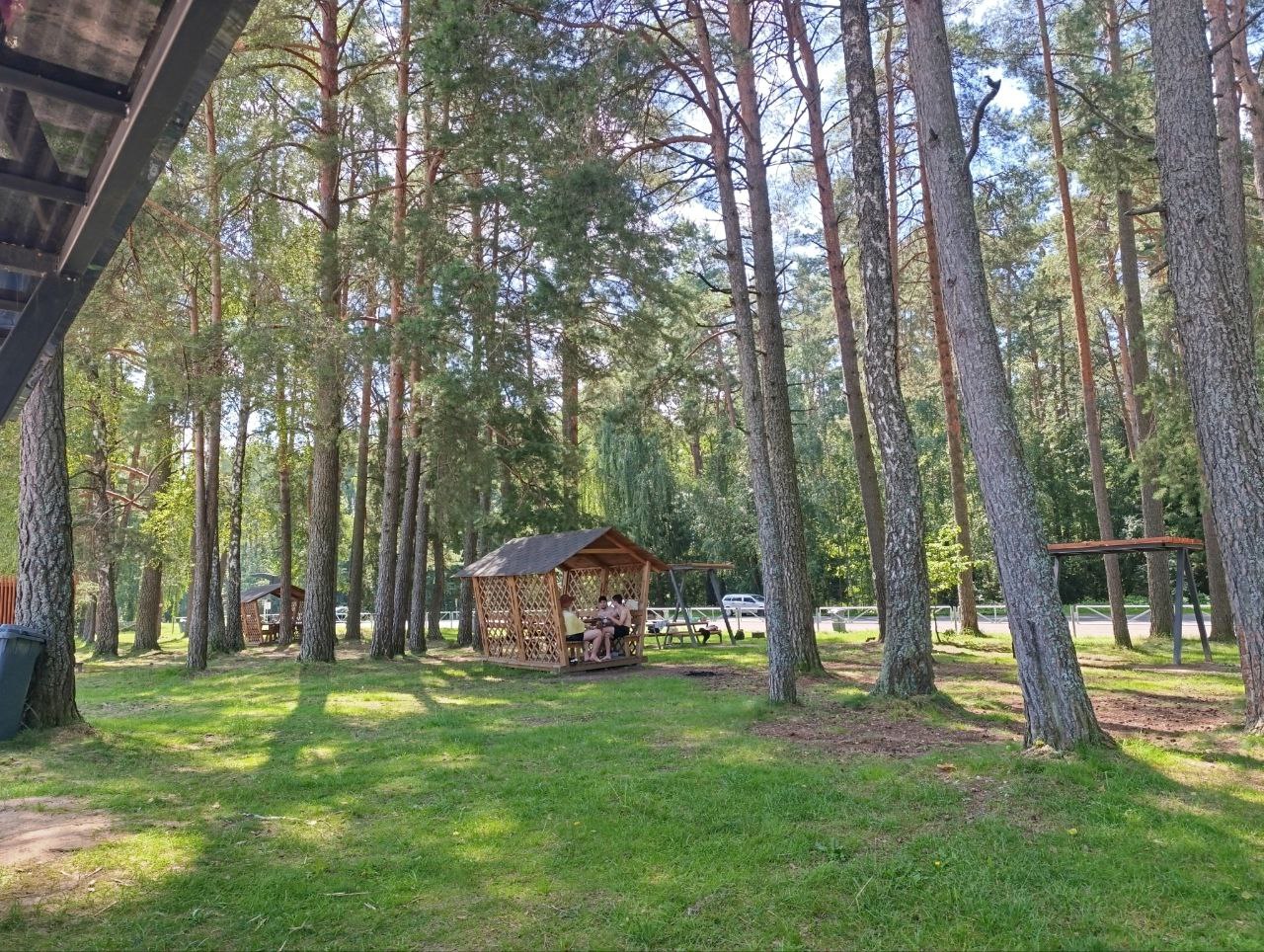 Осиповичское водохранилище пляж беседки