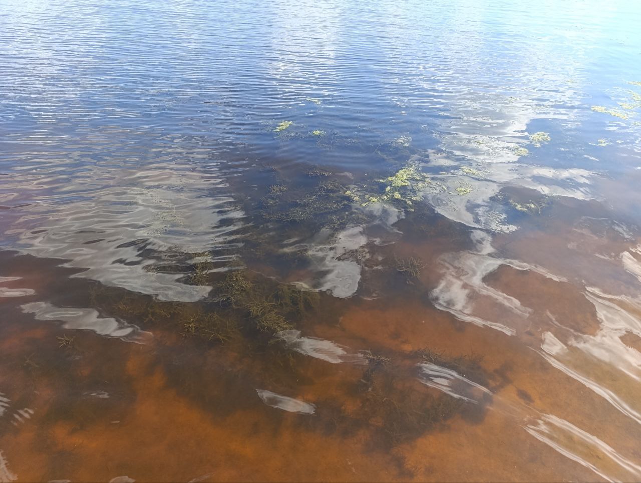 Осиповичское водохранилище дно пляж