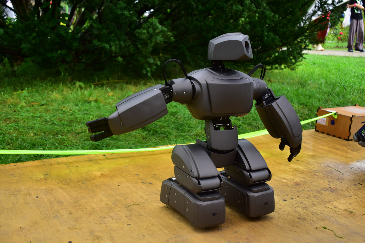 Букидс фестиваль профессии