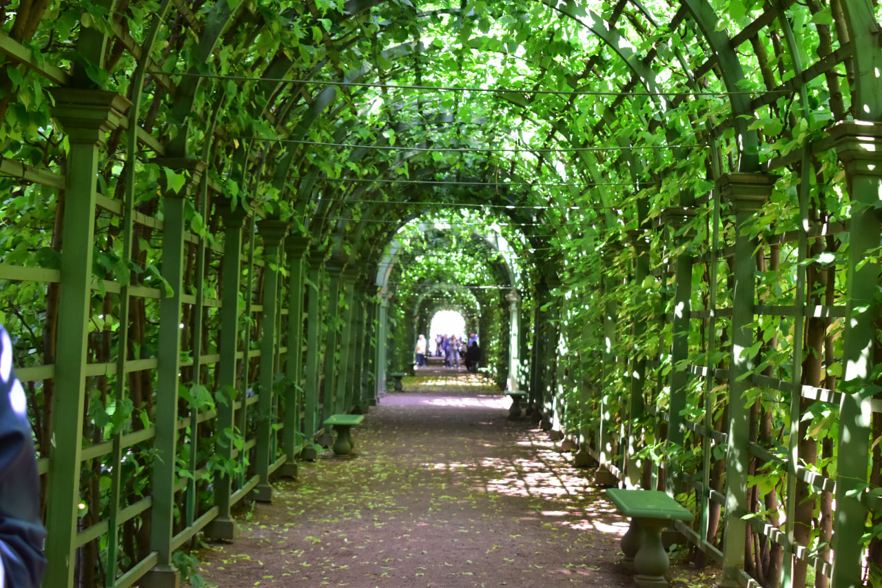 Санкт-Петербург Летний сад