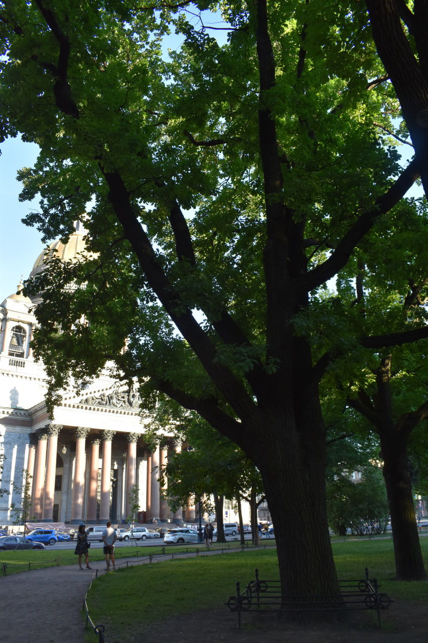 Санкт-Петербург Адмиралтейство