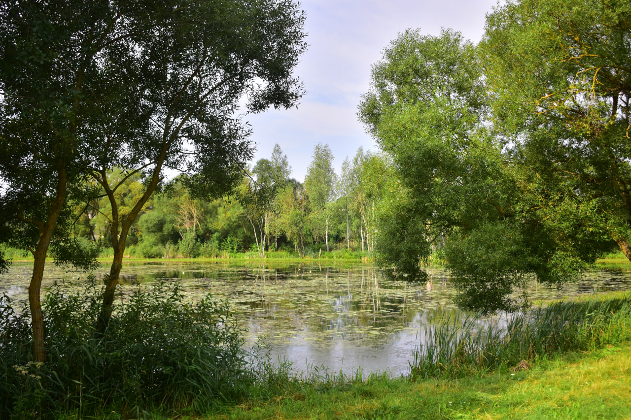 поход туристы туризм Городок Западная Березина