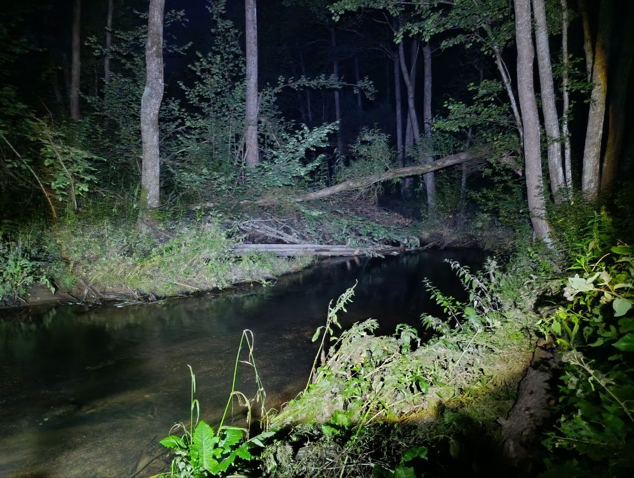 поход туристы туризм река Западная Березина