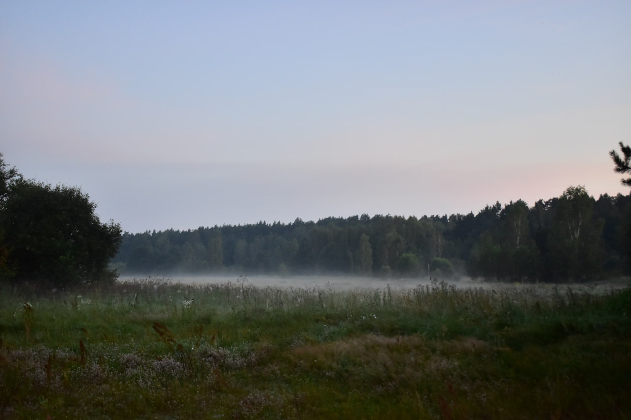 поход туристы туризм туман