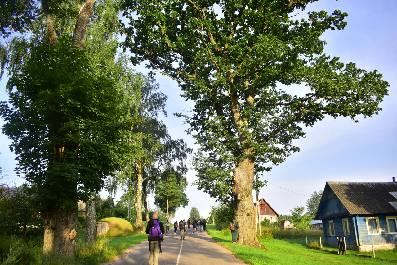 поход туристы туризм 