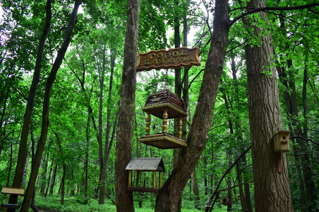 Севастопольский парк