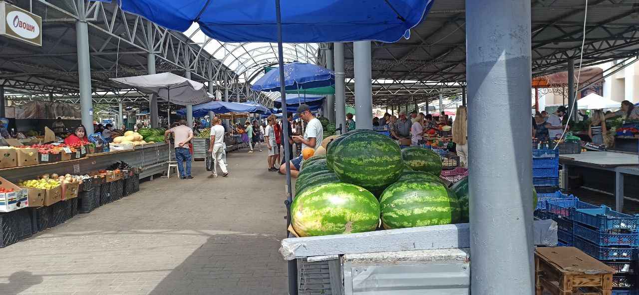 photo_2025-08-12_14-50-30_11zon