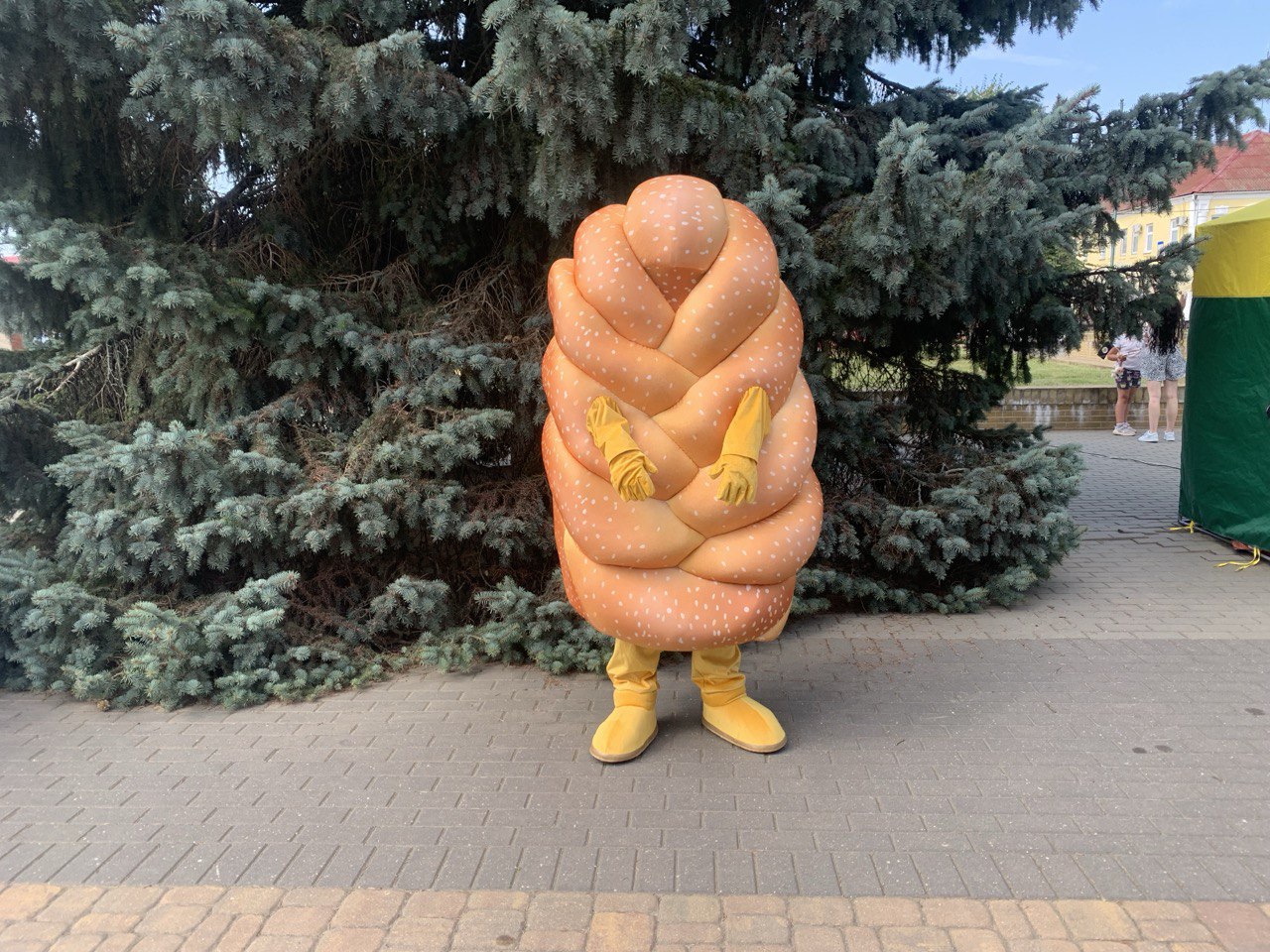 бацькава булка 2025