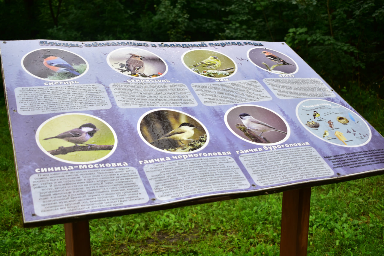 Севастопольский парк