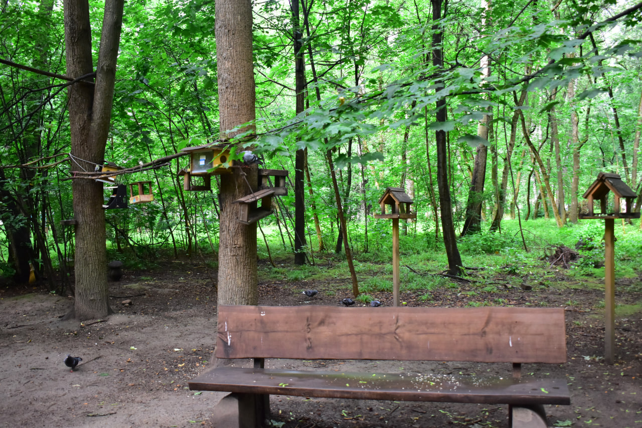 Севастопольский парк