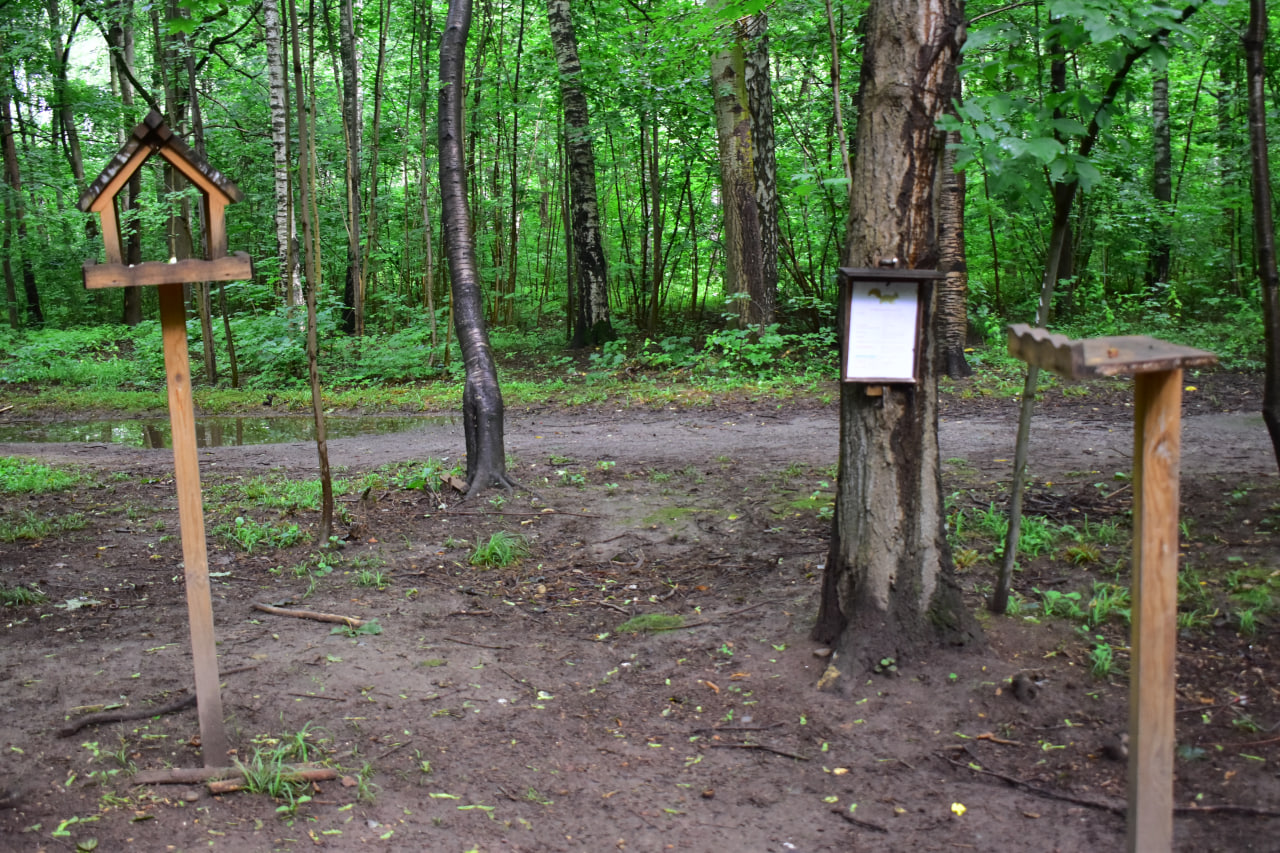 Севастопольский парк