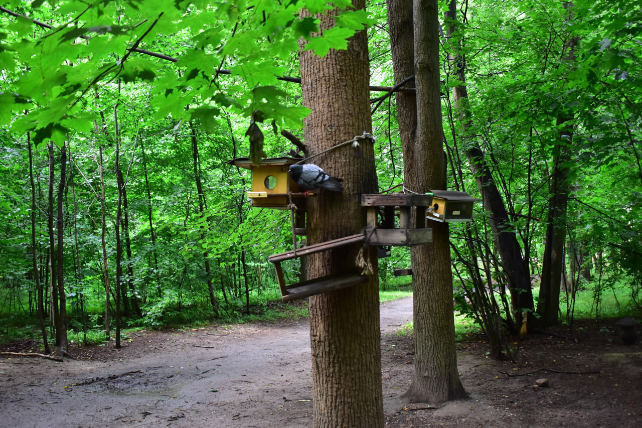 Севастопольский парк