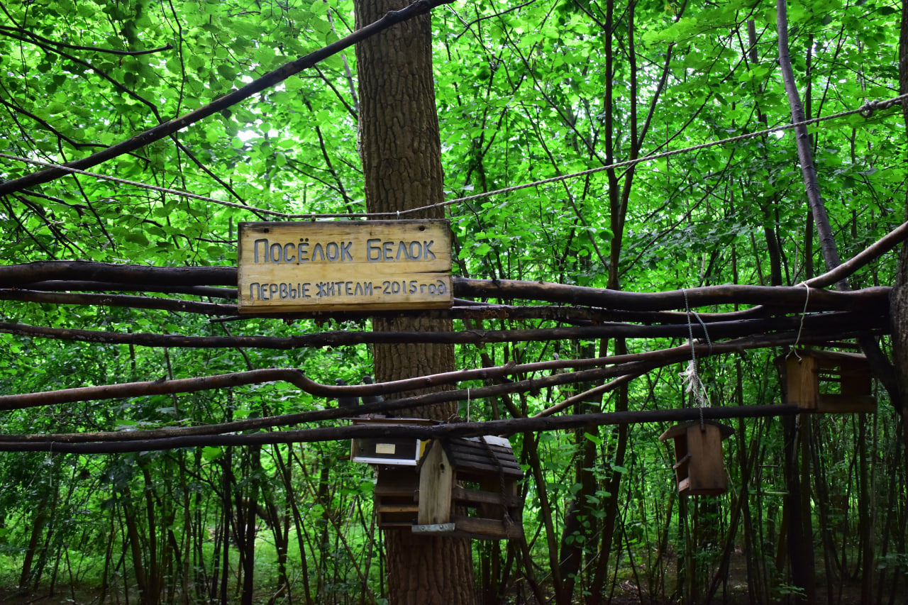 Севастопольский парк: как меняется один из самых больших парков столицы