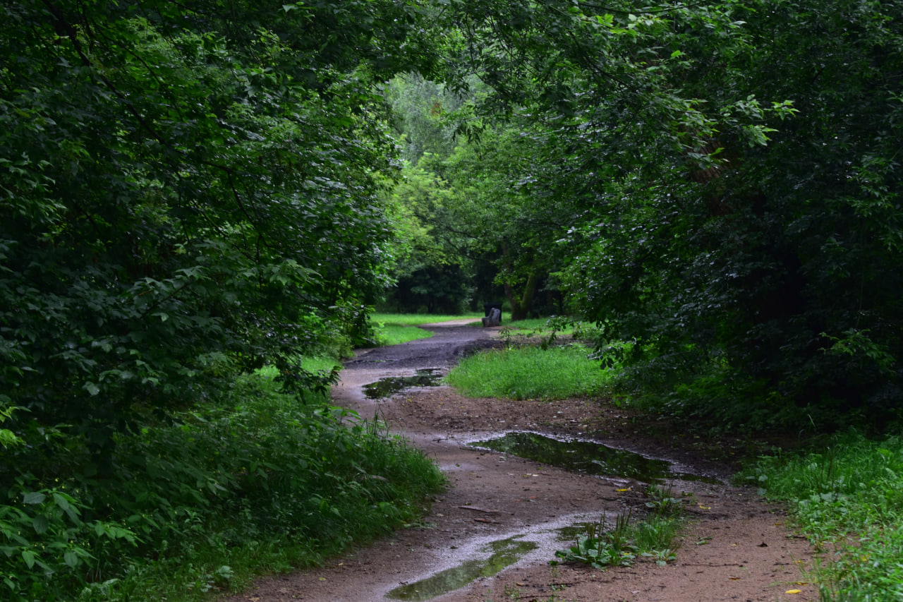 Севастопольский парк