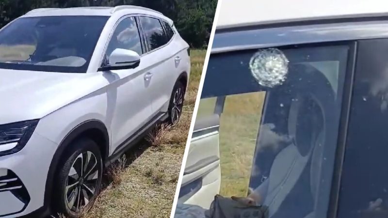 стрельба по машине под брестом