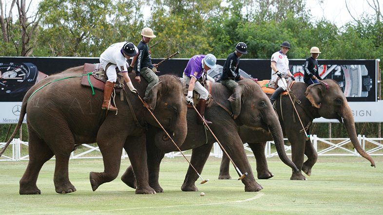 Поло на слонах