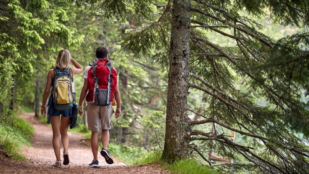 Прогулка по лесу