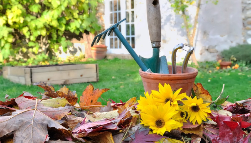 Что нужно успеть сделать в саду и огороде до первых заморозков