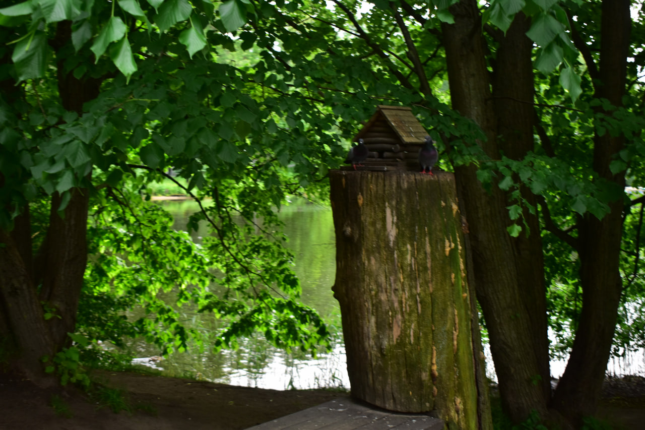 Санкт-Петербург Елагин остров