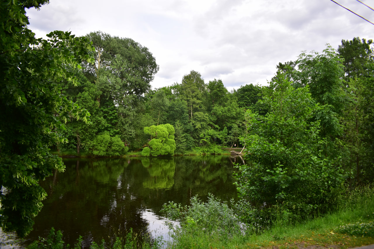 Санкт-Петербург Елагин остров