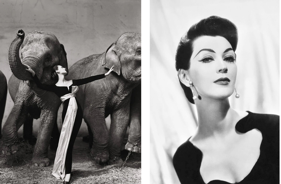 «Довима и слоны», 1955 г.